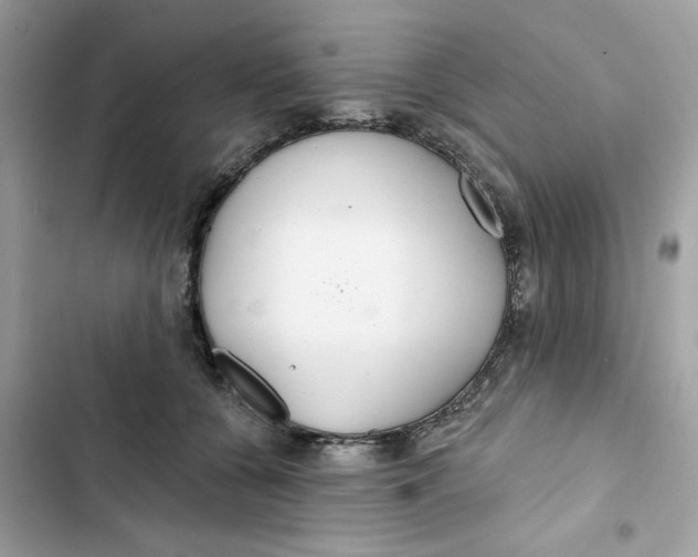 X0000103280560200809191809