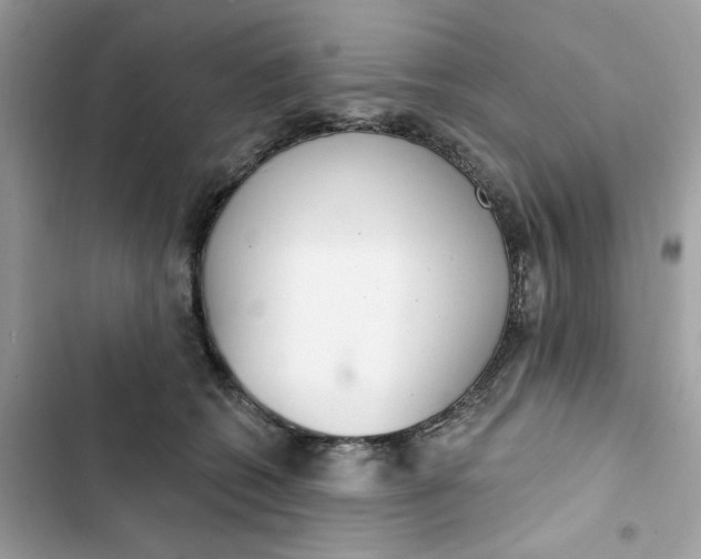 X0000103280562200809191809