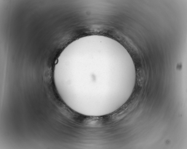 X0000103280563200809191809