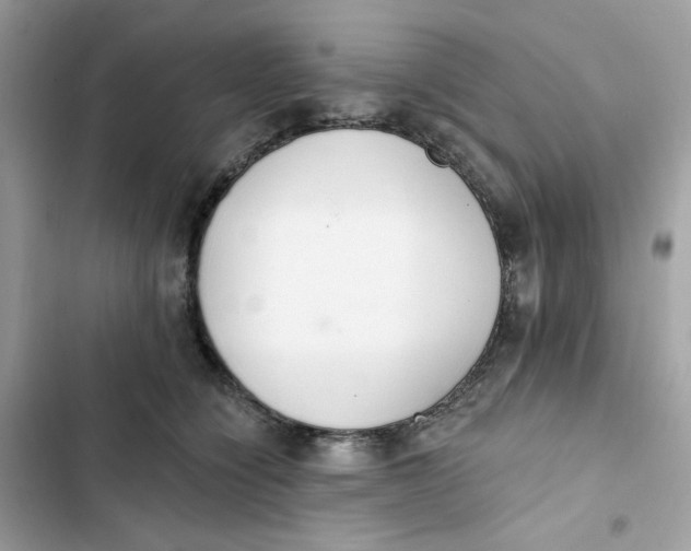 X0000103280564200809191809