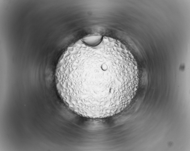 X0000103280569200809191809