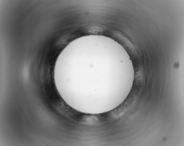 X0000103280572200809191809