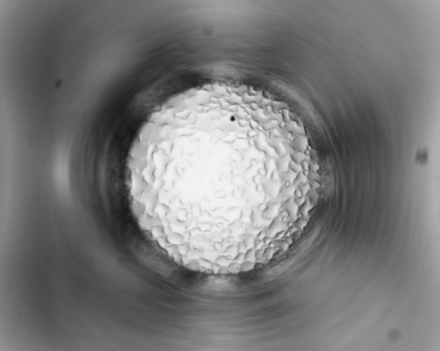 X0000103280573200809191809