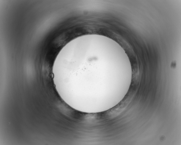 X0000103280574200809191809