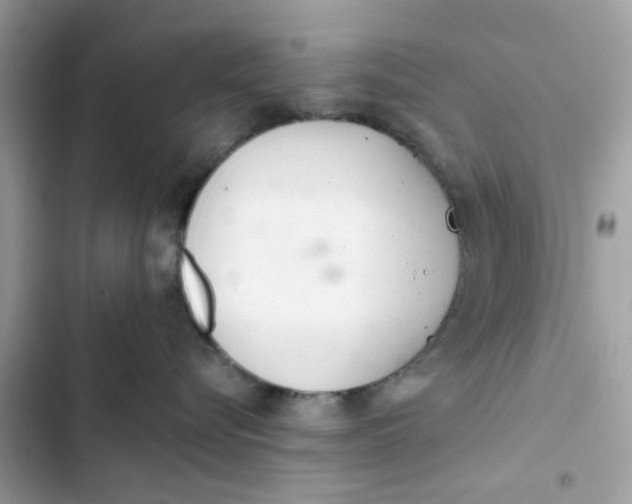 X0000103280576200809191809