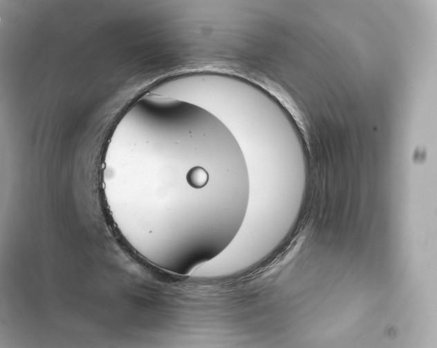 X0000103280577200809191808