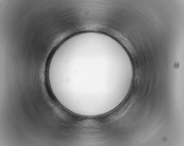 X0000103280578200809191808