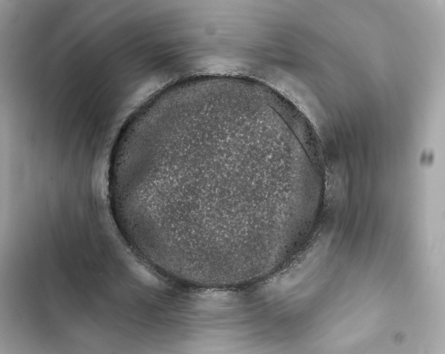 X0000103280581200809191808