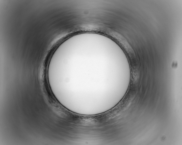 X0000103280583200809191808