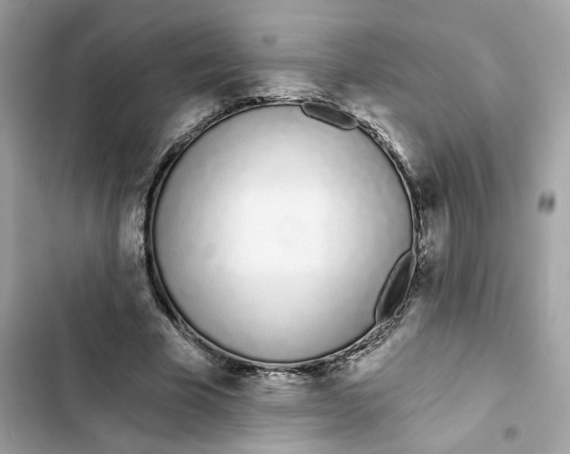 X0000103280585200809191808