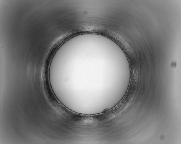 X0000103280587200809191808