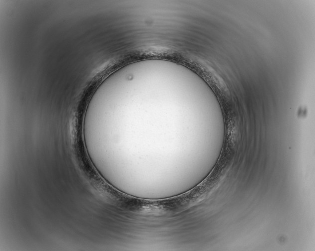 X0000103280591200809191808