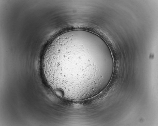 X0000103280592200809191808