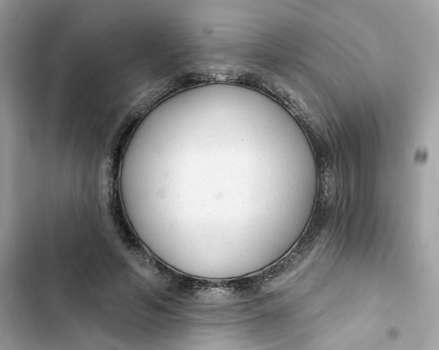 X0000103280594200809191808