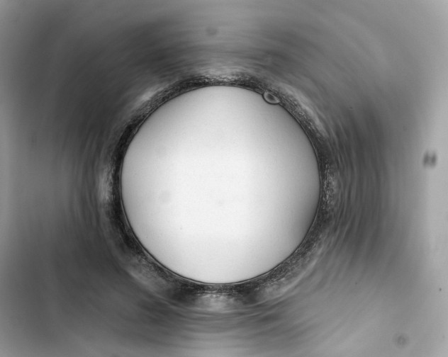 X0000103280596200809191808