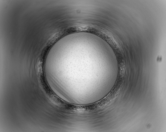 X0000103280598200809191808