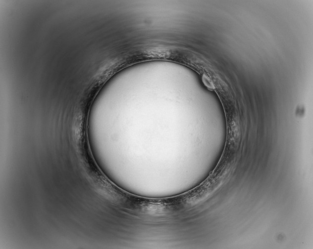 X0000103280600200809191808