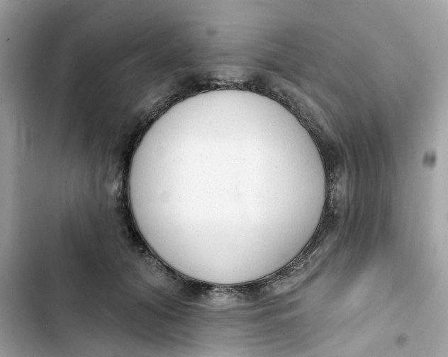 X0000103280608200809191808