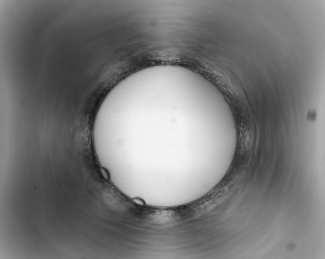 X0000103280609200809191808