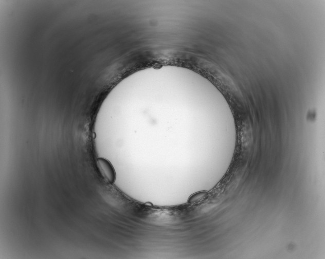 X0000103280611200809191808