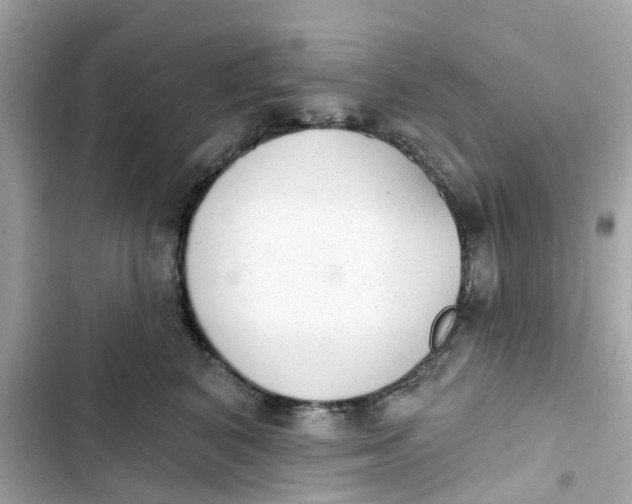 X0000103280616200809191808