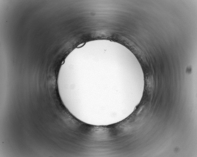 X0000103280617200809191808