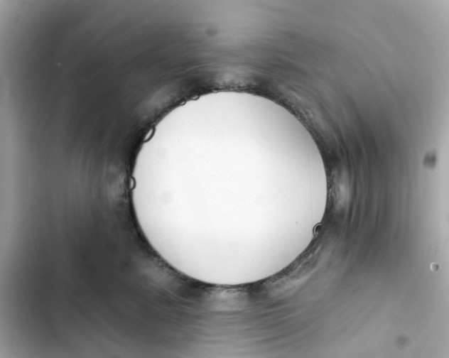 X0000103280619200809191808