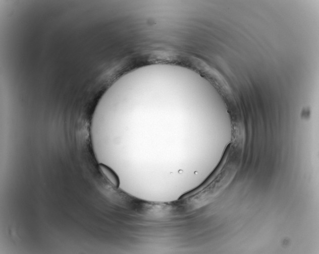 X0000103280621200809191808