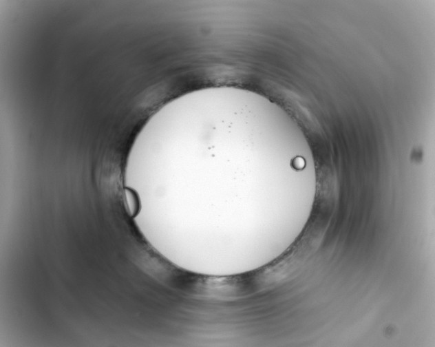 X0000103280622200809191808