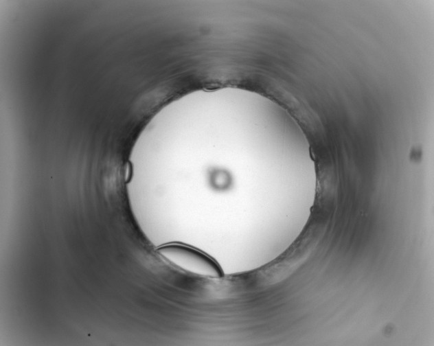 X0000103280623200809191808