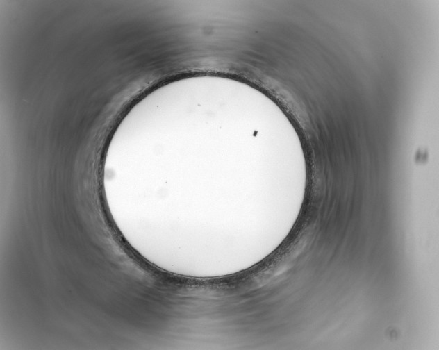 X0000103280625200809191807