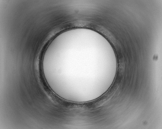 X0000103280626200809191807