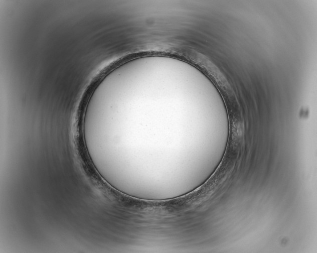 X0000103280628200809191807