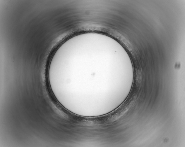 X0000103280629200809191807