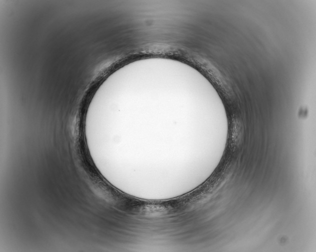 X0000103280636200809191807