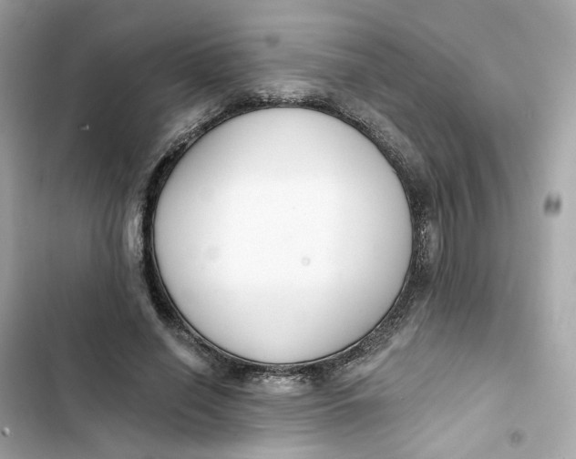 X0000103280638200809191807