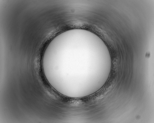 X0000103280642200809191807