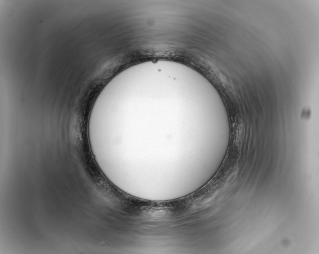 X0000103280643200809191807