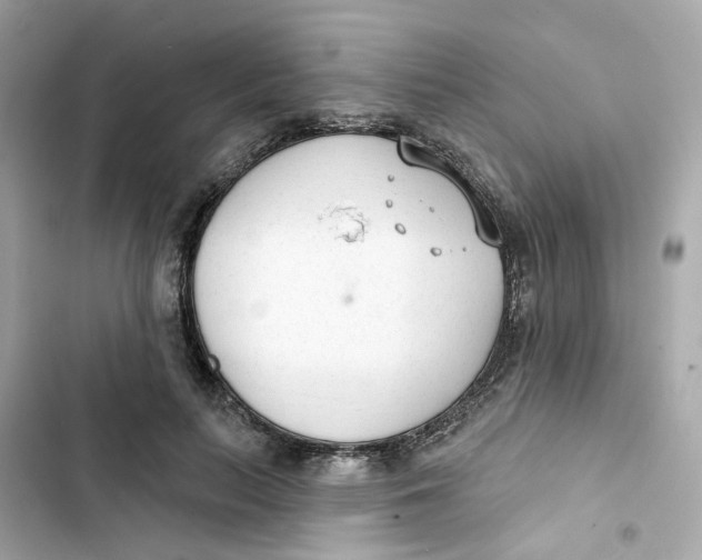 X0000103280647200809191807