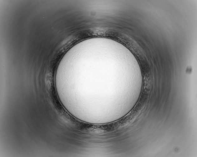 X0000103280648200809191807