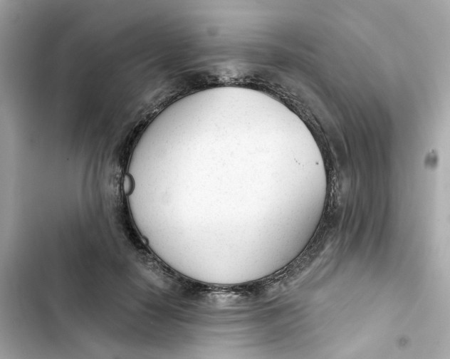 X0000103280650200809191807