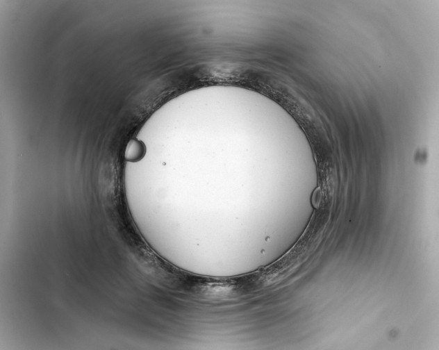 X0000103280651200809191807