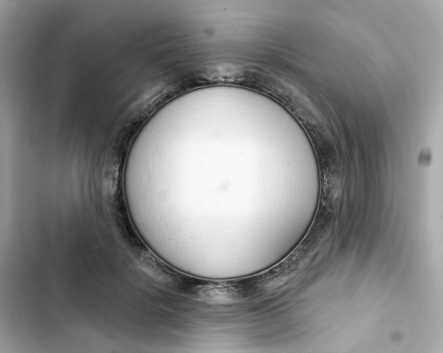 X0000103280652200809191807