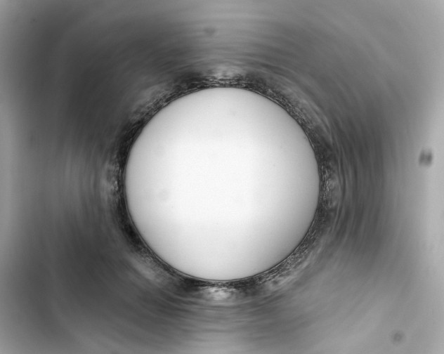 X0000103280654200809191807