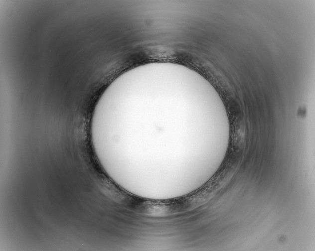 X0000103280658200809191807