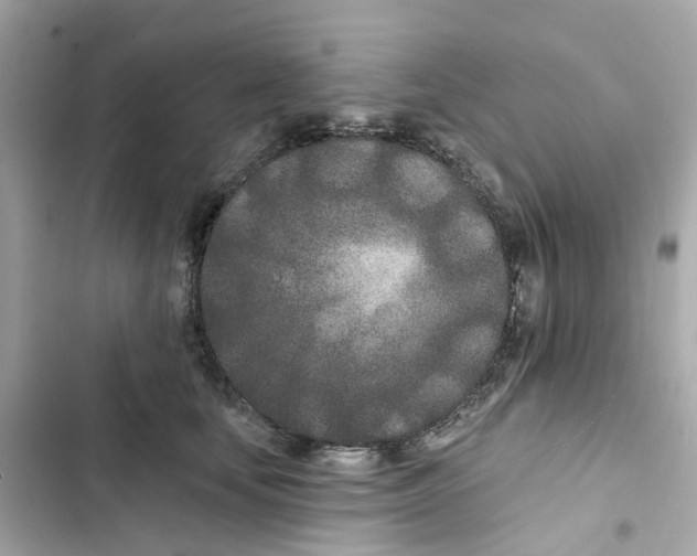 X0000103280659200809191807