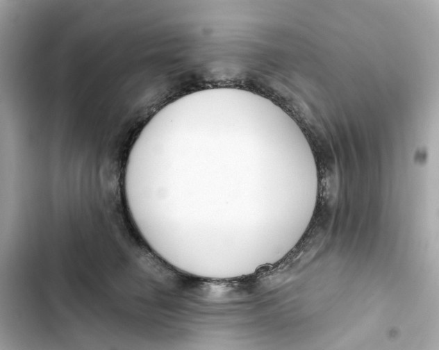 X0000103280662200809191807