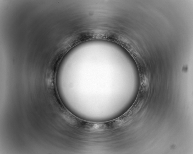 X0000103280663200809191807