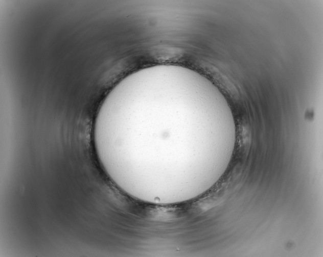 X0000103280664200809191807