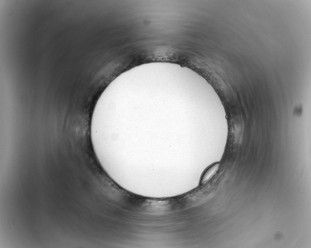 X0000103280665200809191807